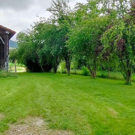 Superbe Demeure Au Coeur Des Pyrenees Ariegeoises Villa Montels  Екстериор снимка